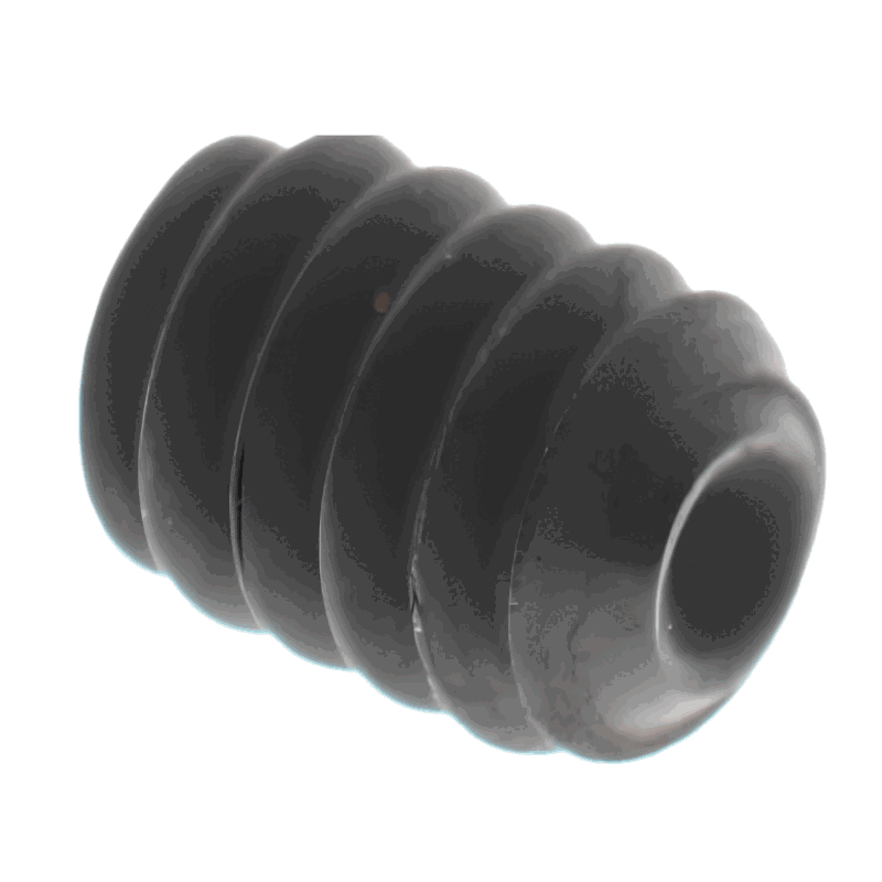 Z01-05548029